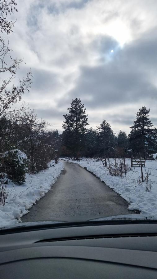 Aa Pine Vikendica Za Izdavanje U Srcu Zapadne Srbije * Nova Varoš