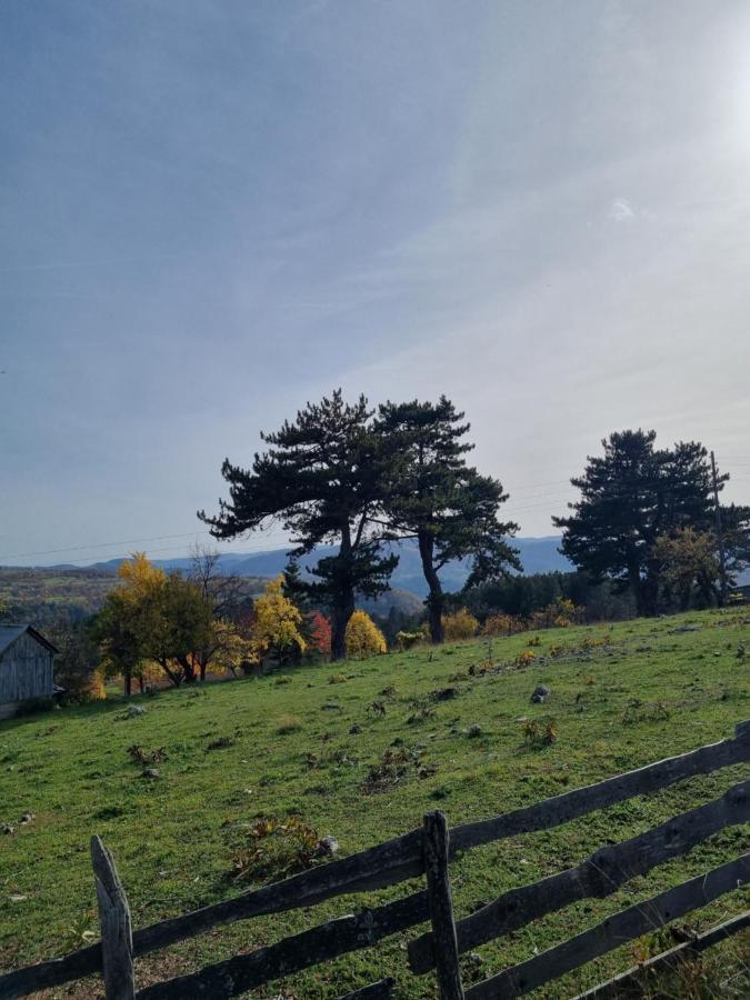 Aa Pine Vikendica Za Izdavanje U Srcu Zapadne Srbije *