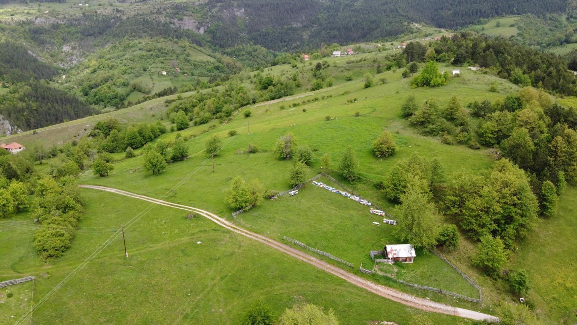 Chalet Aa Pine Vikendica Za Izdavanje U Srcu Zapadne Srbije *